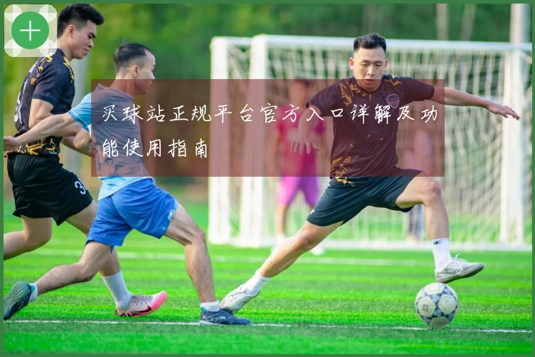 买球站正规平台官方入口详解及功能使用指南