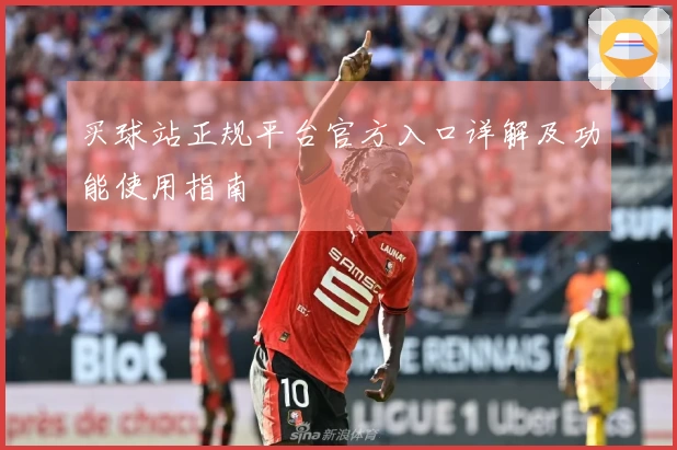 买球站正规平台官方入口详解及功能使用指南